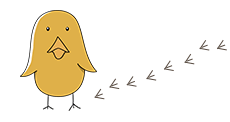 イロドリ鳥 黄色